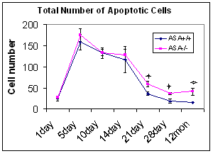 Graph of apoptotic mouse cells